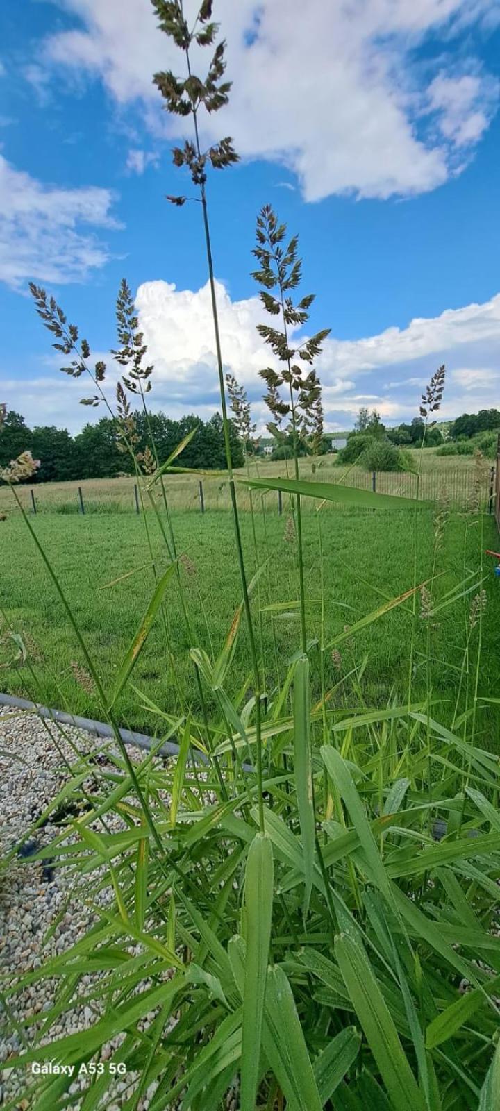 Sloneczne Wzgorze * Lubrza (Lubusz)